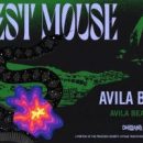 SHABANG BEACH PRESENTS MODEST MOUSE